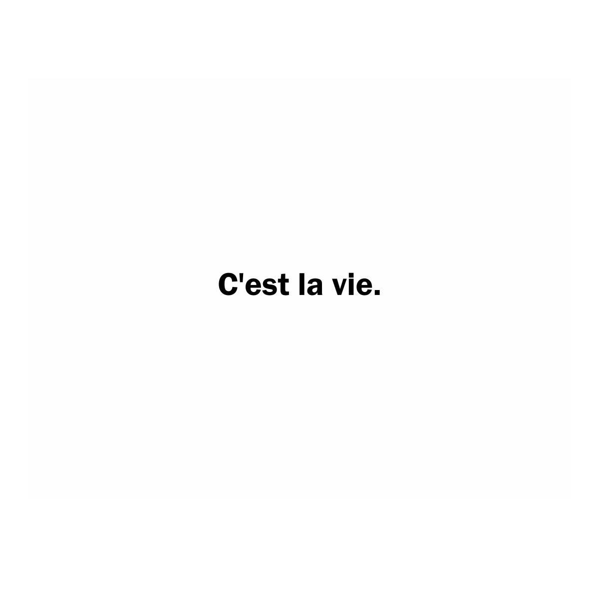 タペストリー フランス語 格言 名言 C'est la vie シャネル 誓いの言葉 シンプル 北欧 インテリア おしゃれ 部屋 飾り付け 壁 グッズ 小物 布｜live-on｜05