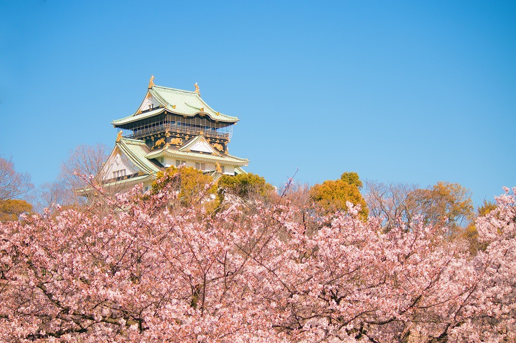 タペストリー 桜 名所 インテリア 壁面 おしゃれ 風景 景色 絶景 大阪
