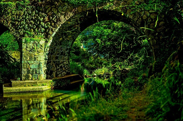 タペストリー ホタル 蛍 光 竹林 ゲンジボタル ゲンジ ヒメ インテリア