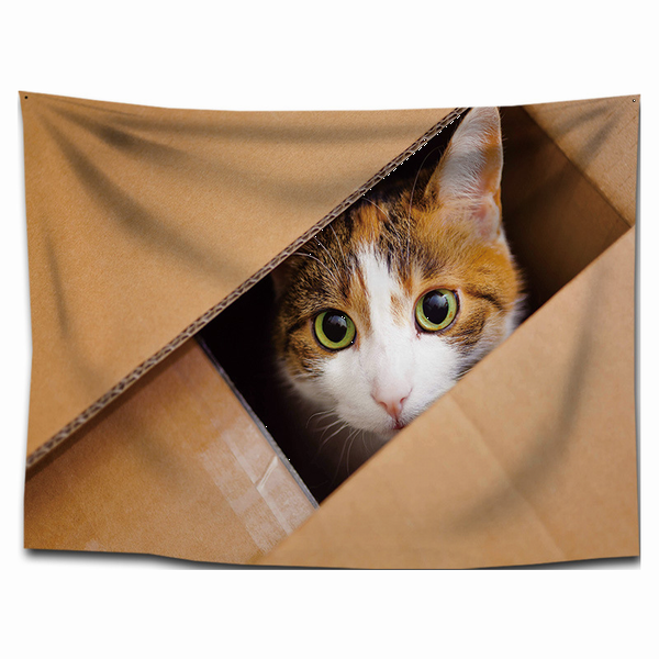 タペストリー 猫 子猫 動物 おしゃれ かわいい 胸キュン カフェ 大判