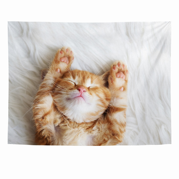 タペストリー 猫 子猫 動物 おしゃれ かわいい 胸キュン カフェ 大判