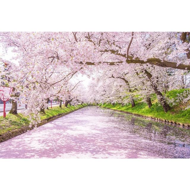 Sale 79 Off タペストリー 桜 インテリア 春 おしゃれ 風景 景色 絶景 大判 大きい 癒し 部屋 季節 背景布 Zoom 桜吹雪 ピンク 花見 桃色 満開 Supplystudies Com Sale 79 Off タペストリー 桜 インテリア 春 おしゃれ 風景 景色 絶景 大判 大きい 癒し 部屋 季節 背景布 Zoom 桜吹雪 ピンク 花見 桃色 満開 Supplystudies Com