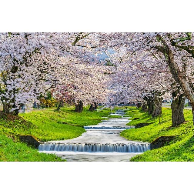 タペストリー 桜 インテリア 春 おしゃれ 風景 景色 絶景 大判 大きい 癒し 部屋 季節 背景布 Zoom 桜吹雪 ピンク 花見 桃色 満開 Oth 332 Live On 通販 Yahoo ショッピング タペストリー 桜 インテリア 春 おしゃれ 風景 景色 絶景 大判 大きい 癒し 部屋 季節 背景布 Zoom 桜吹雪 ピンク 花見 桃色 満開 Oth 332 Live On 通販 Yahoo ショッピング