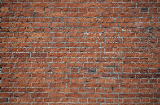 華麗 タペストリー 特大 レンガ 230cm 150cm ブルックリン 石壁 カフェ風 インラストリアル 北欧 写真 動画配信 撮影 背景布 インテリア おしゃれ Zoom 煉瓦 Cisama Sc Gov Br