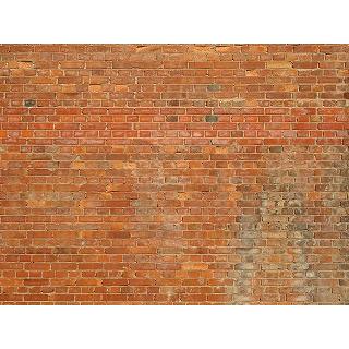 タペストリー 特大 レンガ 230cm 150cm ブルックリン 石壁 カフェ風 インラストリアル 北欧 写真 動画配信 撮影 背景布 インテリア おしゃれ Zoom 煉瓦 Oth 505 Live On 通販 Yahoo ショッピング タペストリー 特大 レンガ 230cm 150cm ブルックリン 石壁 カフェ風 インラストリアル 北欧 写真 動画配信 撮影 背景布 インテリア おしゃれ Zoom 煉瓦 Oth 505 Live On 通販 Yahoo ショッピング