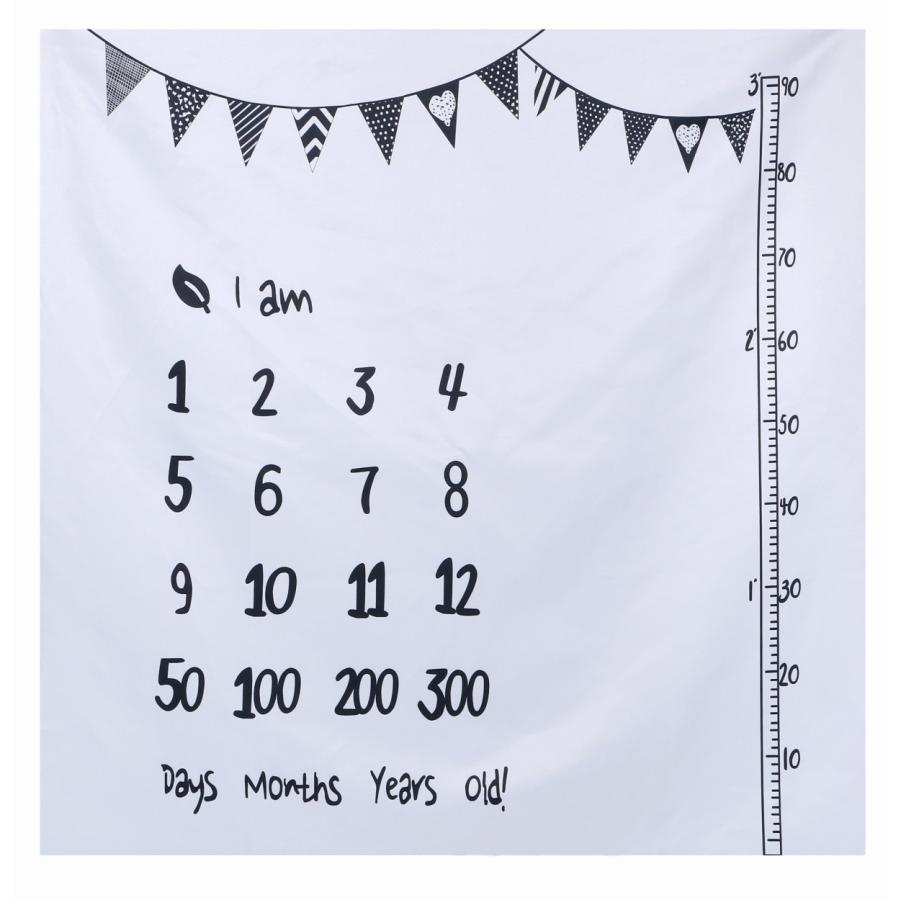 寝相アート マット ブランケット 1ヶ月 100日 祝い 赤ちゃん インスタ映え 記念写真 撮影 背景 誕生日 メモリアルグッズ Oth 329 Live On 通販 Yahoo ショッピング 寝相アート マット ブランケット 1ヶ月 100日 祝い 赤ちゃん インスタ映え 記念写真 撮影 背景 誕生日 メモリアルグッズ Oth 329 Live On 通販 Yahoo ショッピング