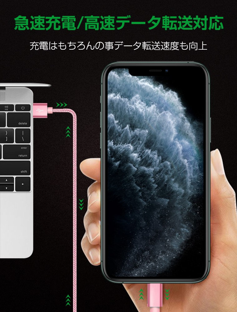 iPhone 端子