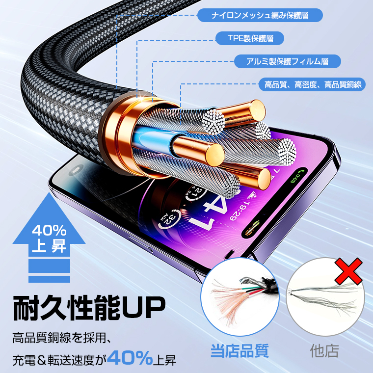 iPhone 端子