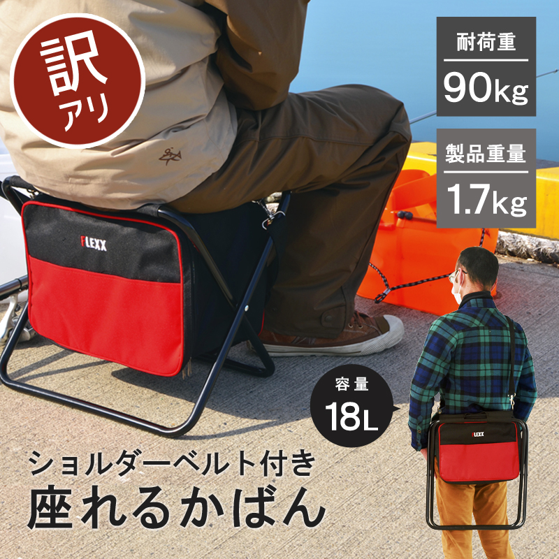伸和（SHINWA） 【アウトレット品】チェアバッグ 折りたたみ 椅子