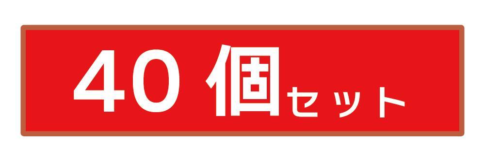 伸和( 日用品、アウトドア用品) 2個セット 高密閉バケツ 保存 伸和( 日用品、アウトドア用品) 2個セット 高密閉バケツ 保存
