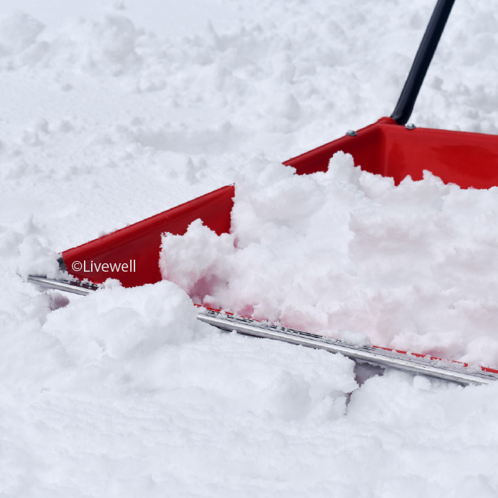 除雪用品 雪おろし 雪下ろし 雪降ろし 雪を運ぶ 作業 大雪対策