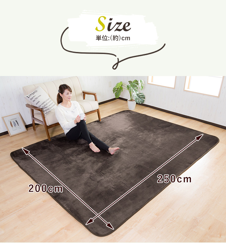 ラグ カーペット 洗える 3畳 おしゃれ オールシーズン 200×250 防ダニ