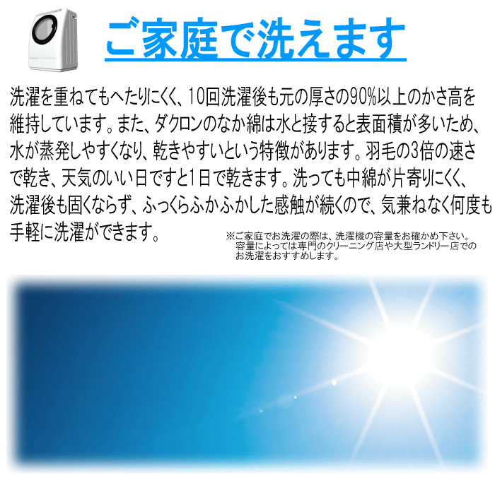 掛け布団 掛布団 掛ふとん クイーン ダクロン(R) ダウンライク NATURAL