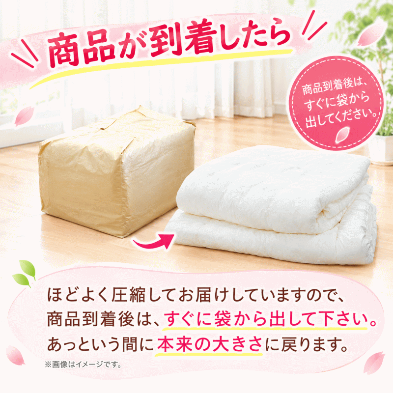 掛け布団 クイーン 2枚合わせ テイジン フィルケア 抗菌 防臭 日本製 掛布団 2枚合わせ シングル フィルケア オールシーズン デュエット