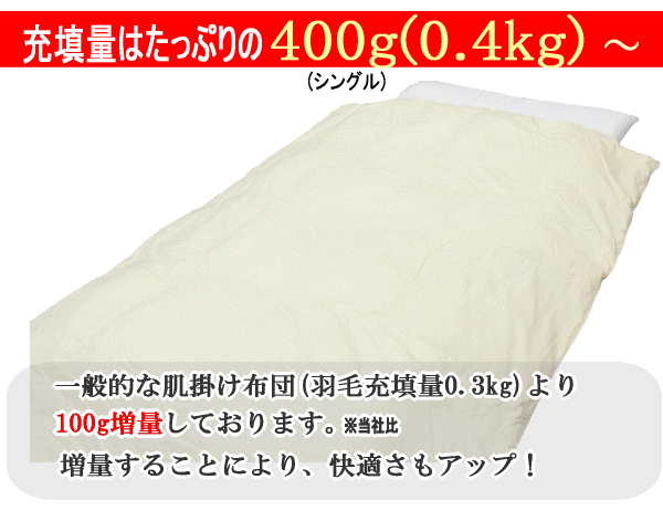 ダウンケット クイーン 肌掛布団 ポーランド産ホワイトマザーグース