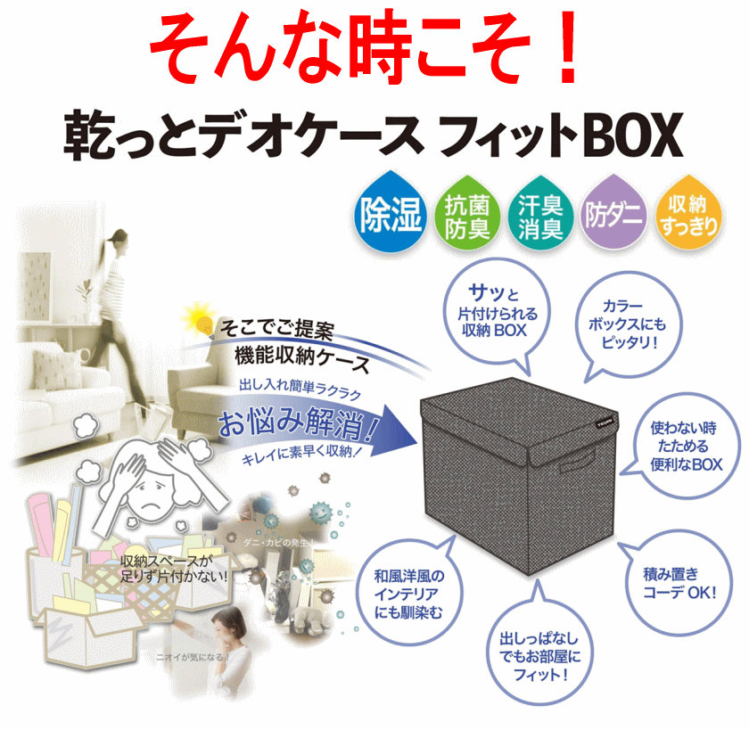 TEIJIN（テイジン） 乾っとデオケース フィットBOX 2026 最新版 収納