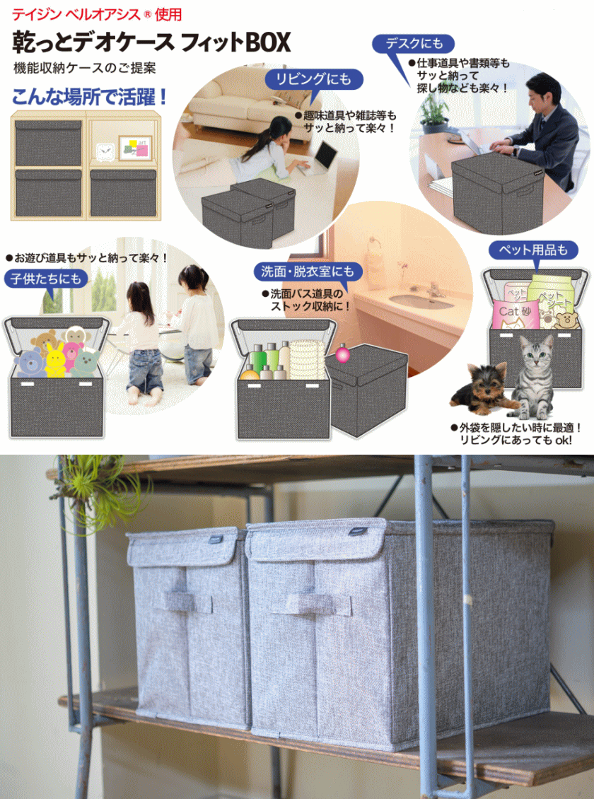 TEIJIN（テイジン） 乾っとデオケース フィットBOX 2026 最新版 収納