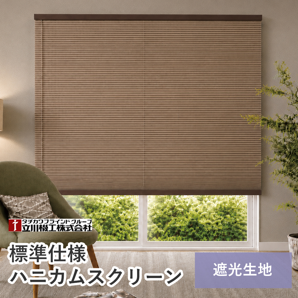 ハニカムスクリーン 【標準仕様 遮光生地 幅27〜50×高さ181〜200cmの範囲】ハニカムシェード カーテンレール付け 穴開け不要 賃貸可 省エネ 冷暖房効果 遮熱