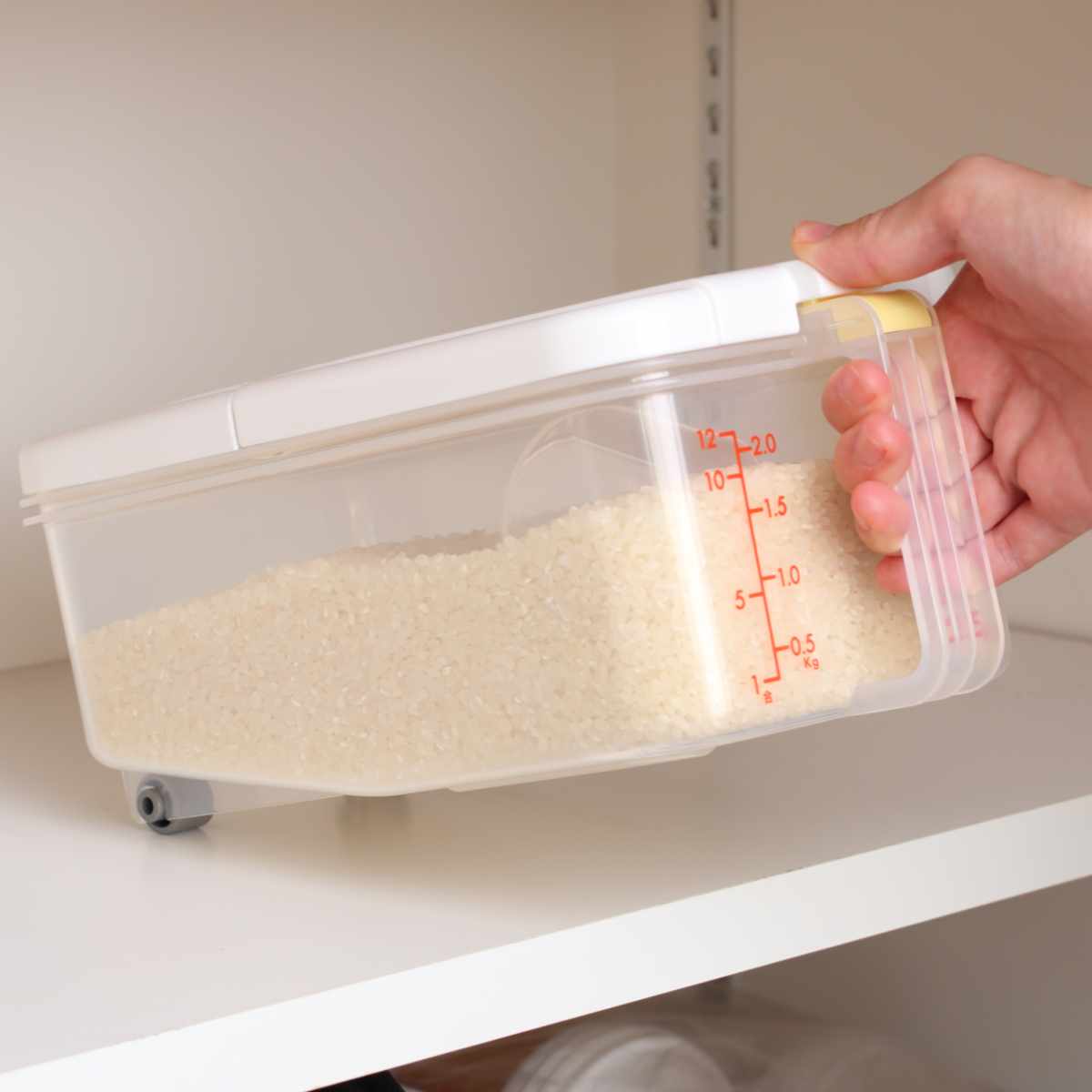 スケーター 米びつ 冷蔵庫用米びつ 横型 2.5kg 2個セット （ 計量