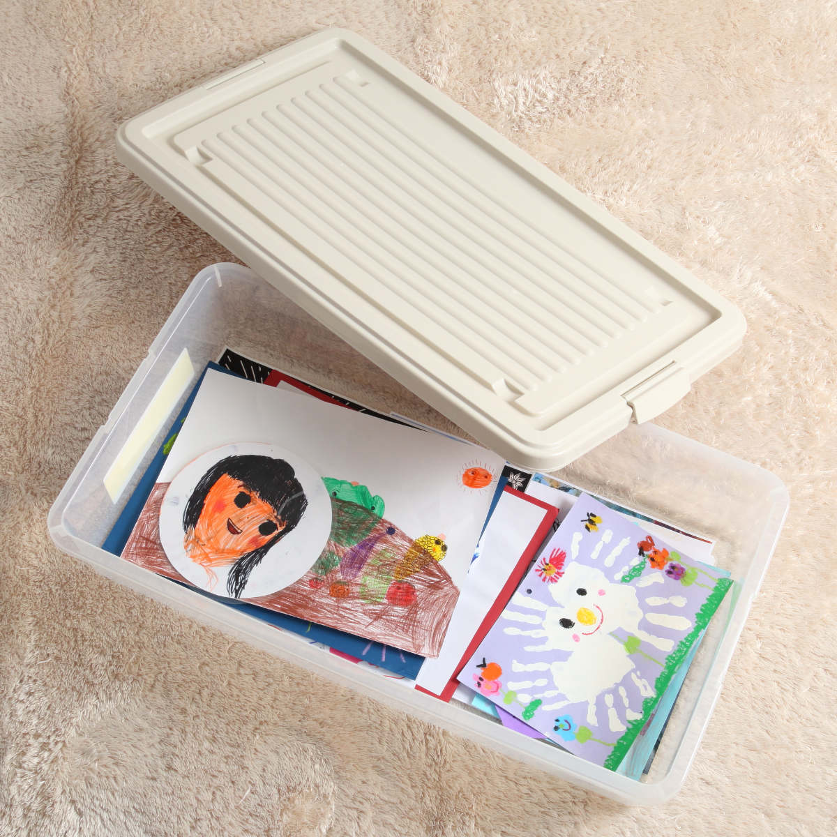 サンコープラスチック 収納ケース ホームケース 7415 作品収納 （ 幅42