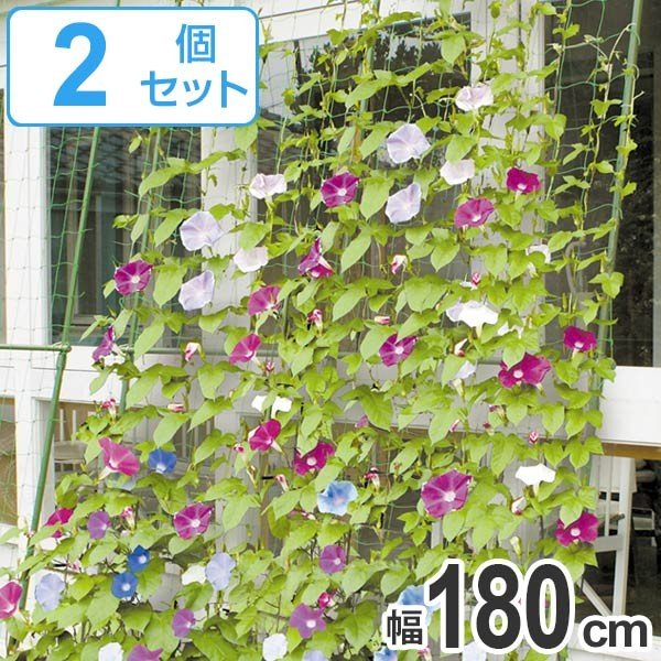 緑のカーテン 伸縮ワイド 幅180cm×高さ1.6〜3m 2個セット （ 日