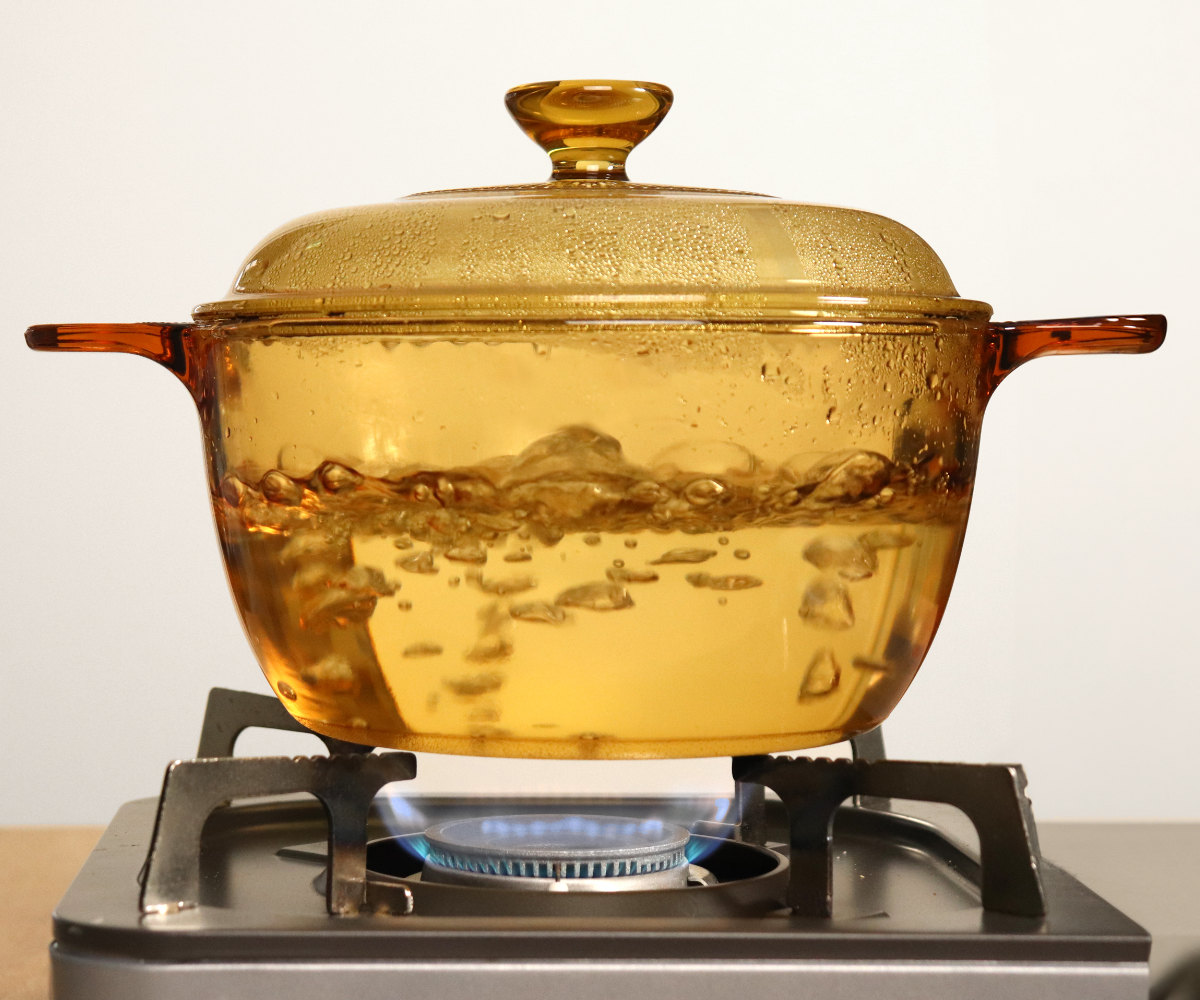 パール金属 両手鍋 21.5cm ガス火専用 ガラス製 VISIONS 2.5L クック