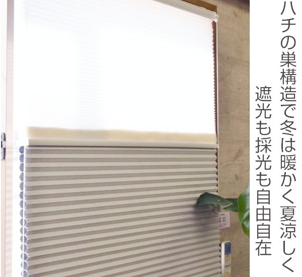 225277-re-img.jpg
