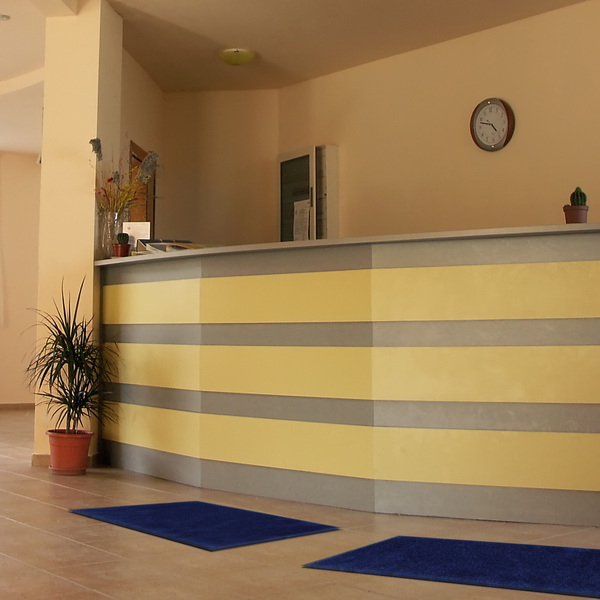 クリーンテックス・ジャパン 玄関マット 屋内 屋外 業務用 75×90cm