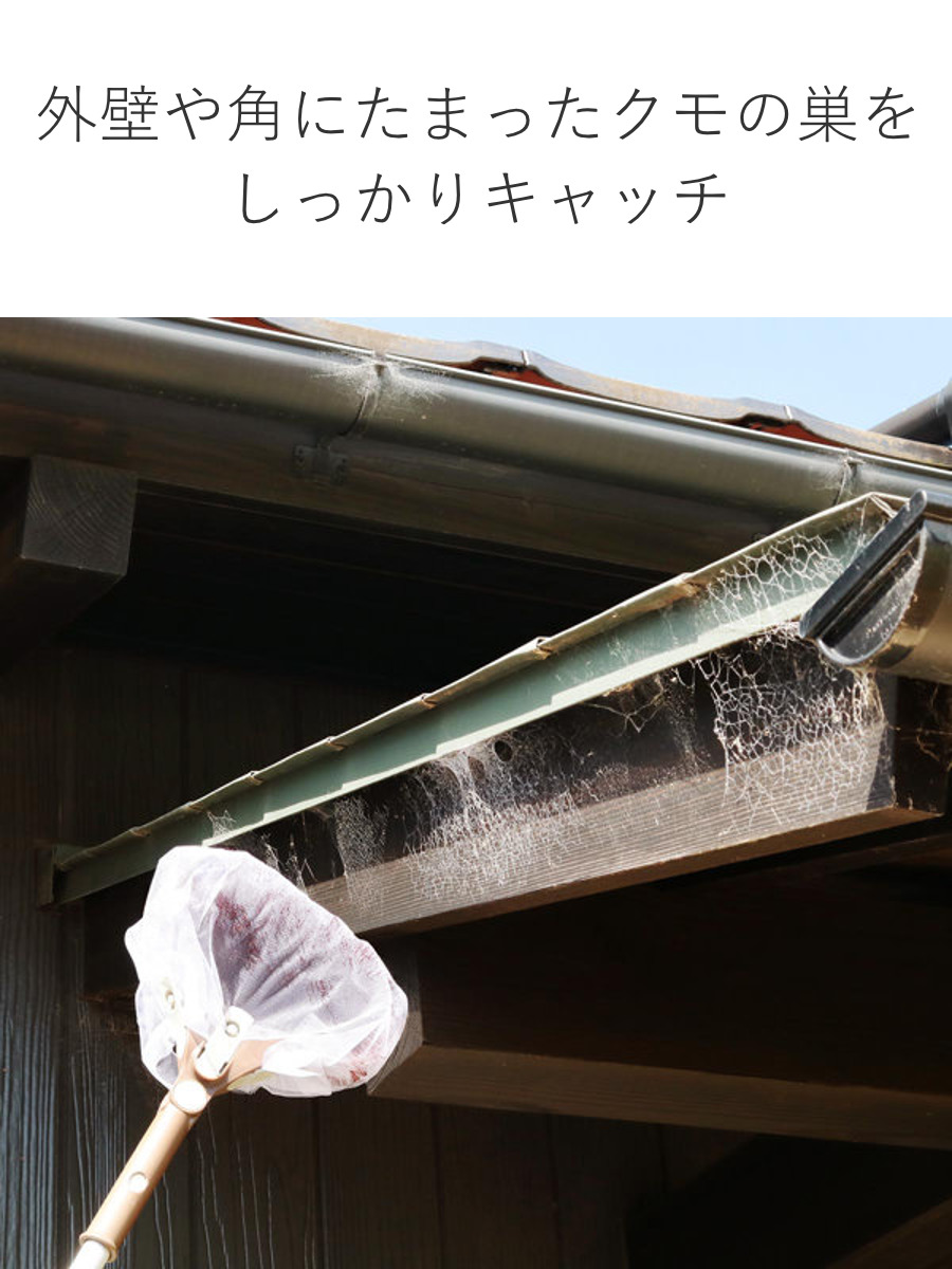 蜘蛛 の 巣 除去