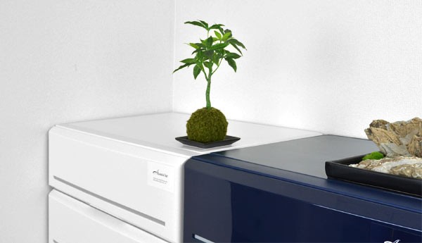 チェスト 木製天板 タンス 収納 幅62cm 4段 鏡面 仕上げ 完成品 日本製