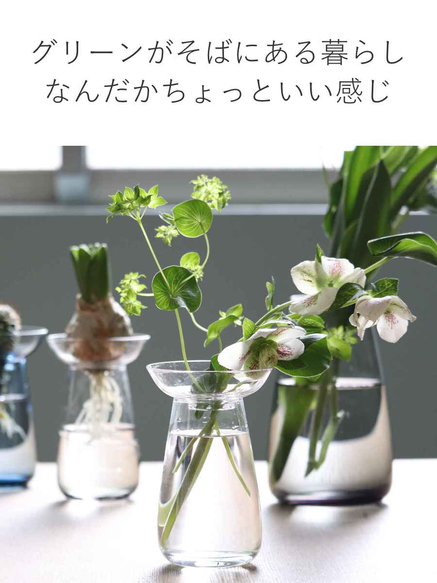 KINTO（キントー） アクアカルチャーベース 80mm （ 花器 AQUA CULTURE