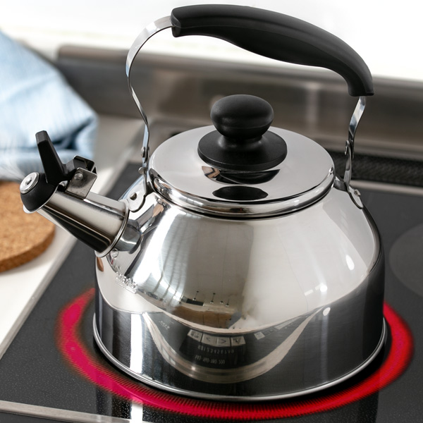 やかん パール金属 やかん 笛吹きケトル 2.7L 広口タイプ デイトナプラス