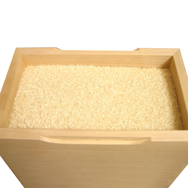 値下げ 新品 米びつ20kg レッド ライスストッカー OBAKETSU（オバケツ） 米びつ 20kg キャスター付き ライスストッカー