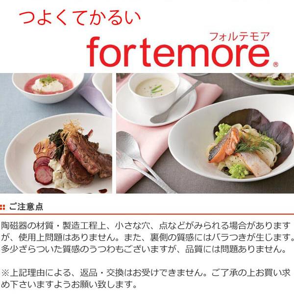 ランチプレート24.5cm 軽量強化磁器 fortemore フォルテモア 3枚セット