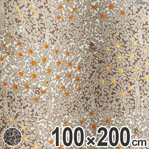 サイズ 在庫限り 入荷なし ディズニー ドレープカーテン リビングート Paypayモール店 通販 Paypay