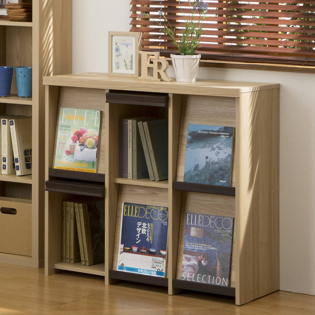 ディスプレイラック 幅94.7cm 2段 本棚 フラップ扉 セパルテック