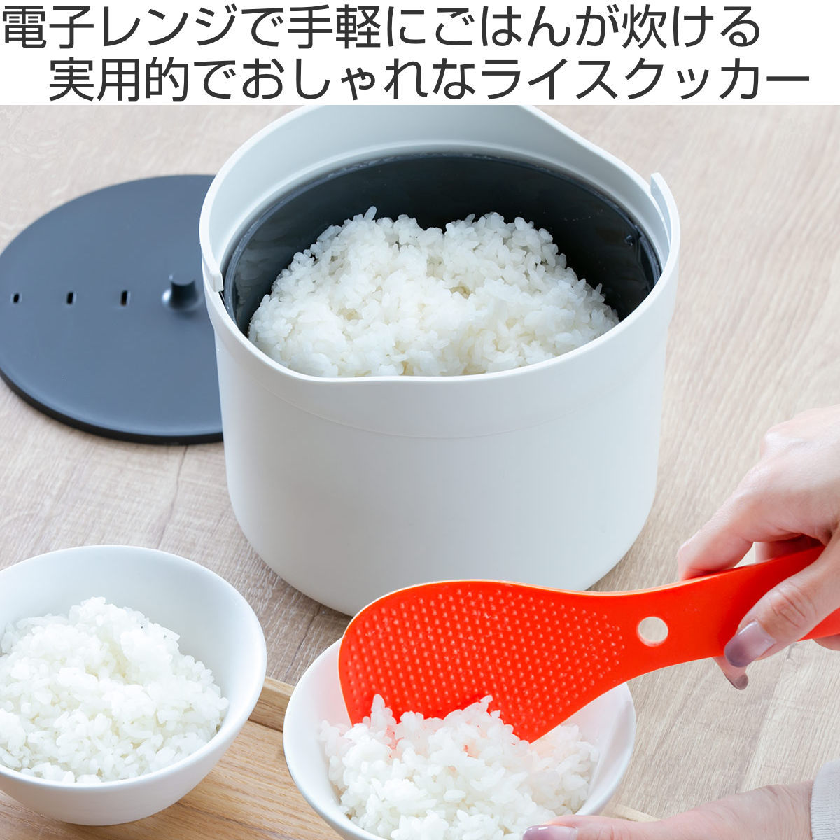 JOSEPH Joseph M-クイジーン ライスクッカー （ 電子レンジ専用