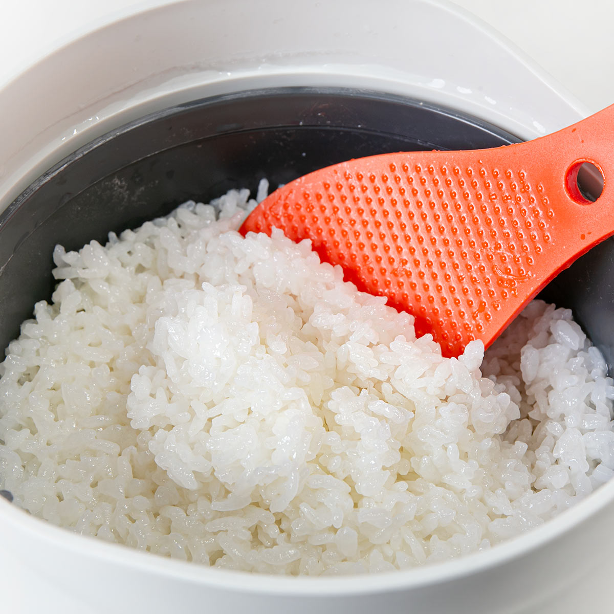 JOSEPH（ジョセフ） Joseph M-クイジーン ライスクッカー （ 電子