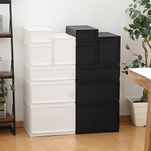 SANKA（サンカ） 収納ケース ナチュラ クリアモジュール ワイドM 幅