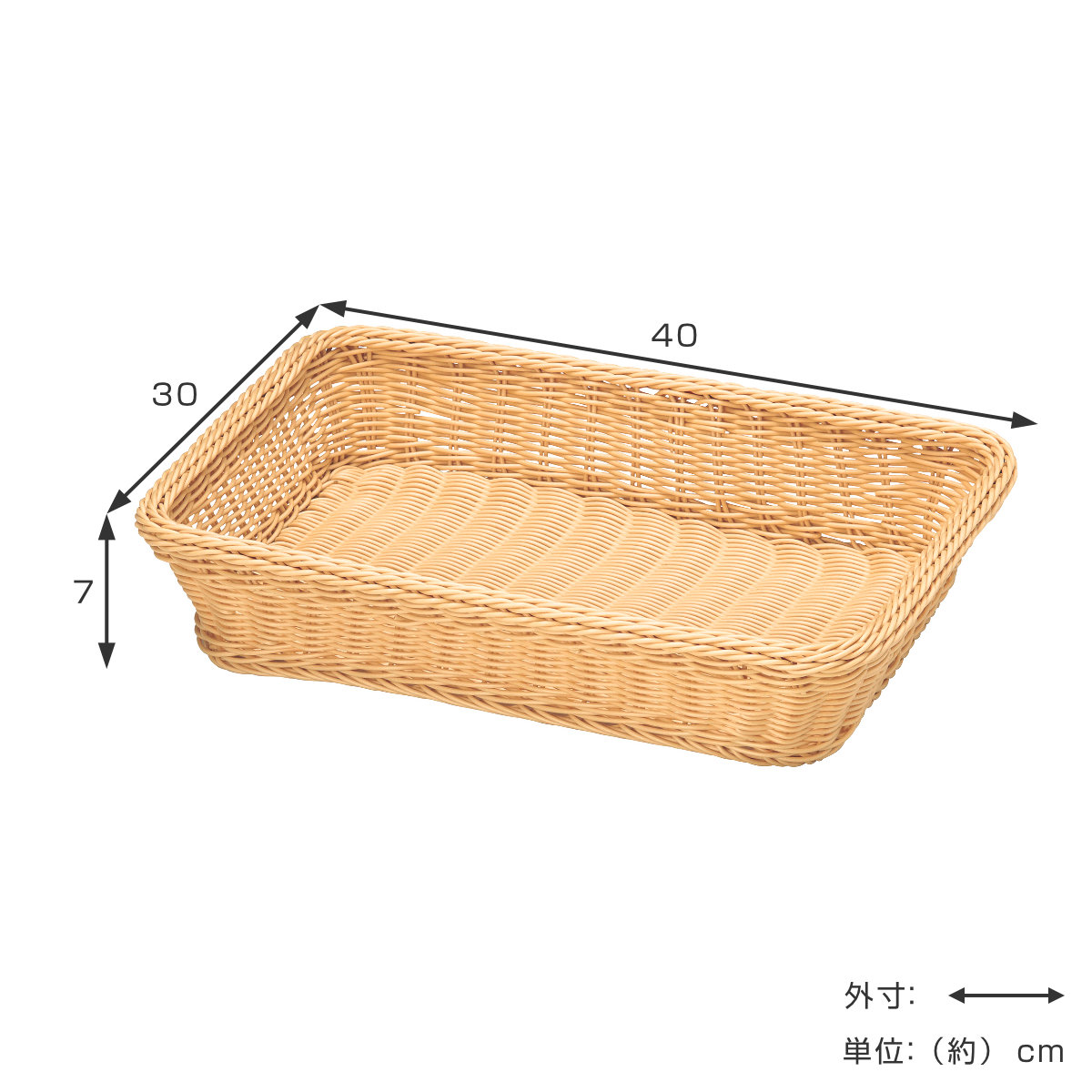 ちどり産業 バスケット 収納 PP 角型 約幅40×奥行30×高さ7cm