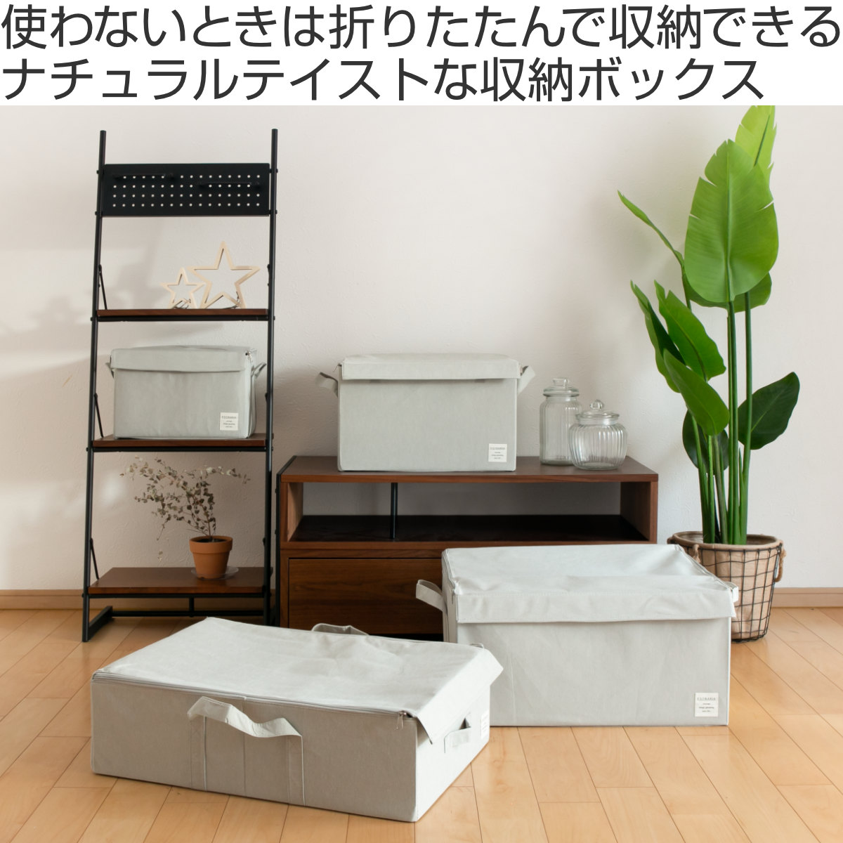 東洋ケース（TOYOCASE） 収納ボックス ストレリアナチュレ M 幅33×奥行