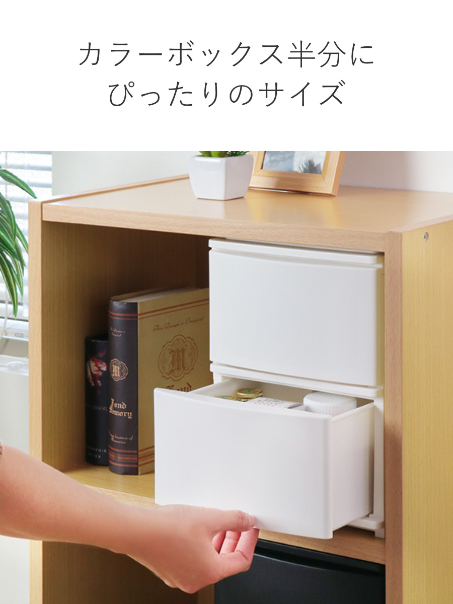 収納ケース 引き出し 幅19.5×奥行26.5×高さ26.5cm A5 深2段 （ 収納