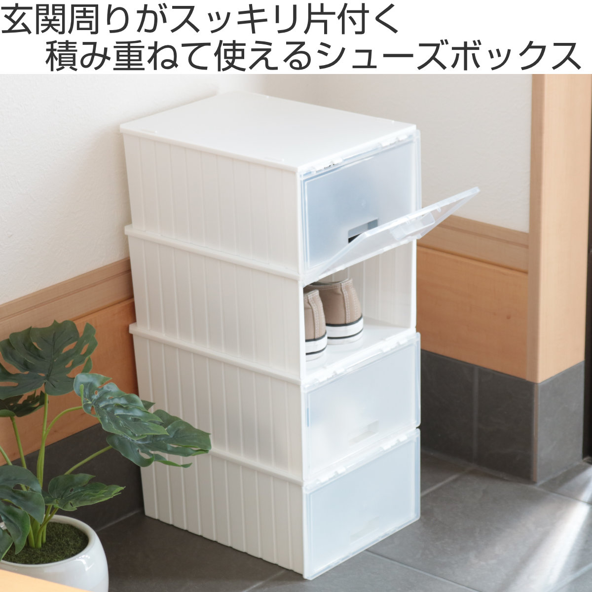 不動技研（FUDOGIKEN） 靴箱 シューズボックス i-Zucc 2個セット （ 靴