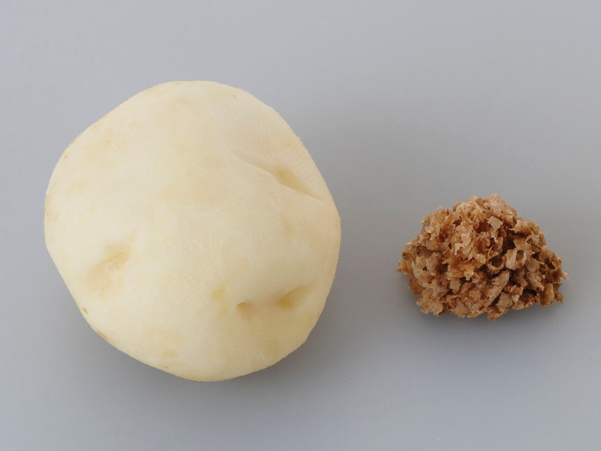 最高の品質の最高の品質の皮むき器 野菜うす皮けずり ママクック ステンレス製 日本製 （ Mamacook 薄皮削り 薄皮けずり うす皮削り 野菜  皮むき ） 調理器具