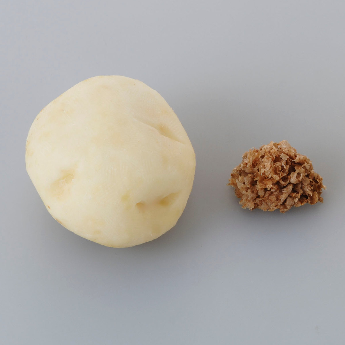 皮むき器 野菜うす皮けずり ママクック ステンレス製 日本製 （ Mamacook 薄皮削り 薄皮けずり うす皮削り 野菜 皮むき ） | 下村企販 | 09