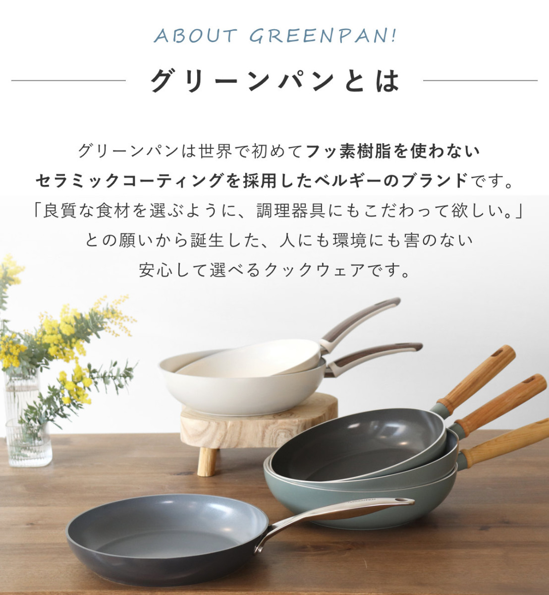GREEN PAN（グリーンパン） 卵焼き器 14×18cm IH対応 ヴェニスプロ