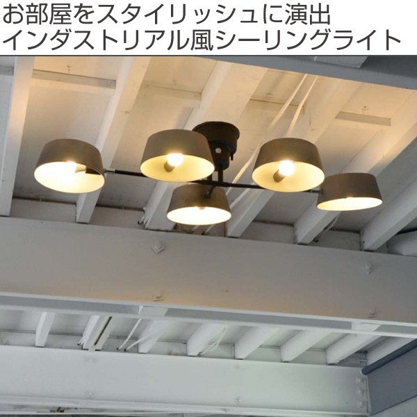 エルックス 2灯シーリングライト カピエンテ ヴィンテージシルバー エルックス 2灯シーリングライト カピエンテ ヴィンテージシルバー