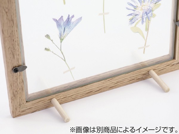 アートフレーム HERBARIUM ART FRAME カキドオシ×Brown （ ハー