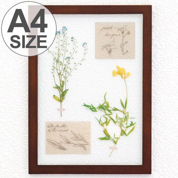 アートフレーム HERBARIUM ART FRAME カキドオシ×Brown （ ハー
