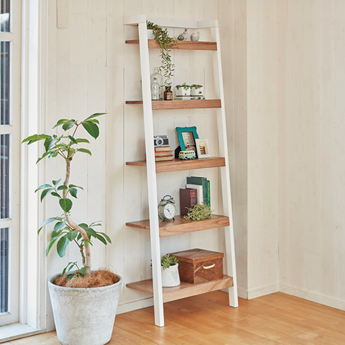 立て掛けラック 幅62cm 5段 木製 モノトーン （ オープンラック 壁面